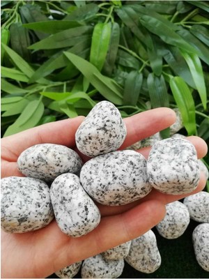 Granit Dolomit Taş 25 kg 2 5 4 cm Siyah Beyaz Dekoratif Bahçe Taşı Dekor