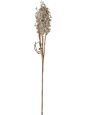 Uravas Store Villa Collection Kvist Pampus Çim Işık Dekoru 86 cm Doğal