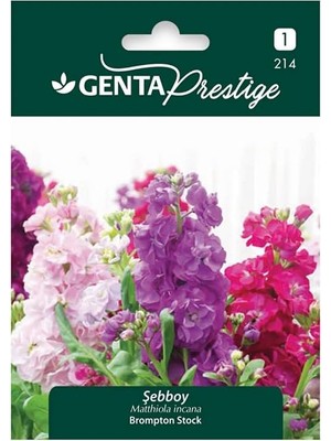 Uravas Store Genta Prestige Şebboy Çiçek Tohumu