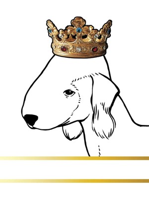 Uravas Store Independently Published Bedlington Terrier Dog Record And Memory Book: Dog Photo Album Pet Milestones Keepsake Book