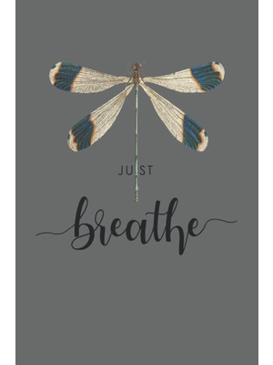 Renas Store Just Libelle Tattoomotiv Sommer Breathe Meditation Yoga Insekt: Rätselbuch - 100X Sudoku Hard - Lustiges Libellen Frühling Tattoo Geschenk, ... Buch, Sketch, Planer, Gehirnjogging, Logik