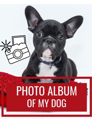 Renas Store Photo Album Of My Dog: Best Memories With My Dog - Customize Your Album, Add Pictures And Notes - Gift Idea For Dog Lovers - 100 Pages