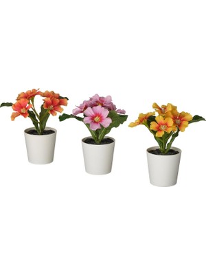 Renas Store Ikea Fejka Saksılı Yapay Bitki, Karışık Renkler, 6 Cm, Çuha Çiçeği, Iç-Dış Mekan