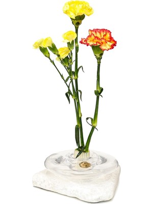 Renas Store Flora Design-Balance Series Şeffaf Cam Vazo