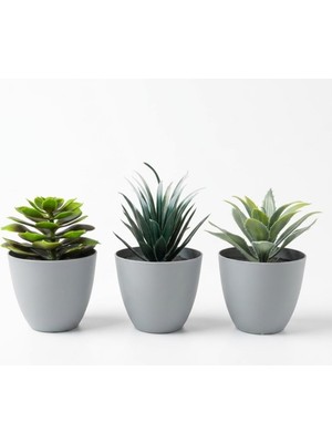 Renas Store 3’lü Yapay Sukulent Bitki Seti – Saksılı Dekoratif Masaüstü Yapay Bitkiler, Modern Ev ve Ofis Dekoru Için Mini Saksı Bitki Seti (8 Cm)