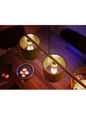 MarkEntegra 5.3W Renkli Akıllı LED Ampul (E14, Bluetooth)