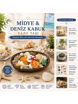 Shopwave Oval Ahşap Sepet Renkli Mix Midye - Deniz Kabuk Vazo Taşı (5047)