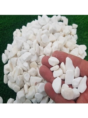 Beyaz Dolomit Taş, 10 Kg, 1-2 Cm, Dere Çakıl Taşı, Bahçe Süs Taşı, Saksı, Teraryum, Akvary