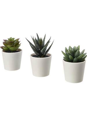 Ikea Fejka Yapay Saksı Bitkisi Saksılı Iç Mekan Dış Mekan Etli / 3'lü Paket Boyutu 2 ¼ " 3'lü Paket