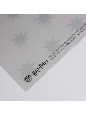 - Slytherin Lisanslı Amerikan Servis