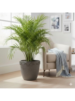Effe Pot Decoration Afrodit Model Dekoratif Hafif Beton Saksı 38X35 cm