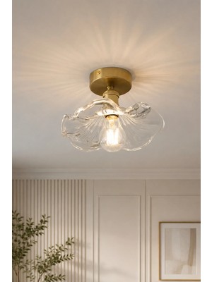 Luna Lighting Alya Model Şeffaf Cam Klasik Salon Mutfak Oturma Odası Balkon Plafonyer Tekli Avize