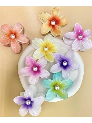 Renas Store Lotus Toka, SM989898978788