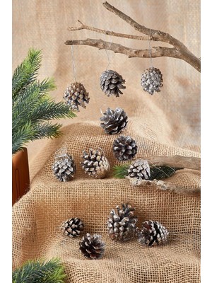 Renas Store Waldern Elfshop Yılbaşı Çam Ağacı Süsü Kozalak 12LI Gümüş Simli Nzshp 1073447