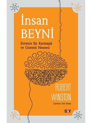 Say Insan Beyni: Evrenin En Karmaşık ve Gizemli Nesnesi