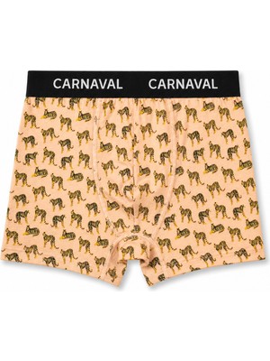 Carnaval Socks Carnaval Kaplan Desenli Premium Pamuklu Erkek Boxer - Somon Renkli