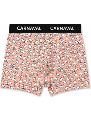 Carnaval Socks Carnaval Tavşan Desenli Premium Pamuklu Erkek Boxer -Bebek Ağzı Renkli