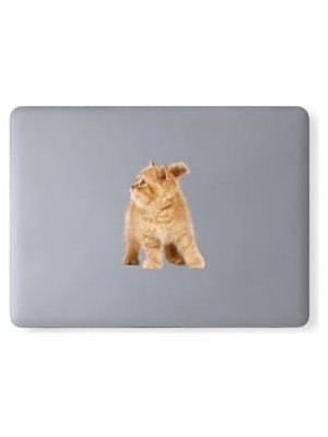 Duca Store Karışık 130 Adet Sevimli Kediler Notebook, Tablet, Telefon Sticker Seti (10 Sayfa) Tek Ebat