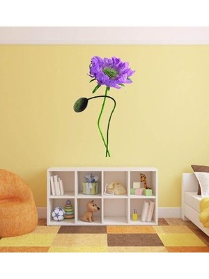 Duca Store Duvar Süsü (Sticker) 2 Adet Mor Çiçekli Şeffaf Filmli Pvc 70X50X0,5CM