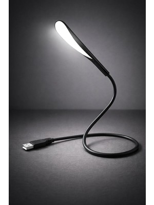 CoverZone USB Lamba, Kısılabilir USB Işık, 2,8W Esnek Klavye Işığı, Pc Bilgisayar Için, 14 LED Inci, 3 Kademeli Ayarlanabilir Parlaklık, Açma/kapama Dokunmatik Şalteri, D10 USB LED