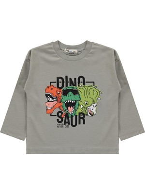 Civil Boys Dınosaur Baskılı 2-5 Yaş Sweatshirt  - Gri