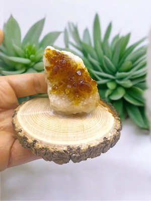 St. Morritz Sitrin Jeot Ham Doğal Taş Mineral (Sertifikalı)(Para Taşı)(Bereket TAŞI)(180 Gram -5 cm Boy)