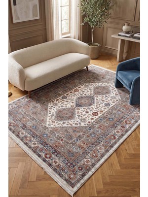 Hoom Rugs Otantik 2602 Renkli Vintage Desenli Salon Halısı