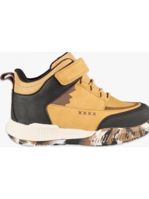 Vicco Altay Camel