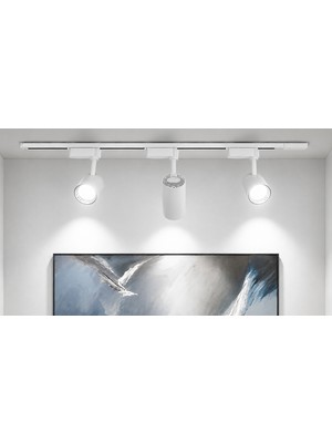 Ledarmy Modern 3’lü LED Ray Spot Aydınlatma Seti 30W Beyaz Monofaze Ray Sistem Ayarlanabilir Tavan Spotu 6400K Beyaz