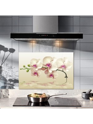 Decorıta Krem Orkide Desen / Ocak Arkası Koruyucu (40CM x 60CM)