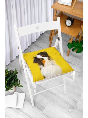 Rem Home Rengirenk Dekoratif Sandalye Minderi Beyaz Modern Bağcıklı 40 x 40 cm Mutfak Balkon Oturma Minderi