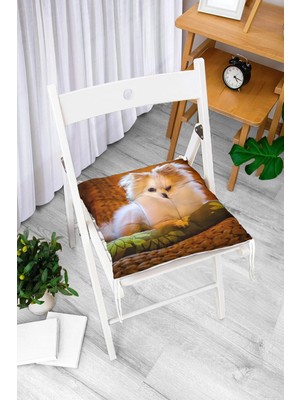 Rem Home Rengirenk Dekoratif Sandalye Minderi Beyaz Modern Bağcıklı 40 x 40 cm Mutfak Balkon Oturma Minderi
