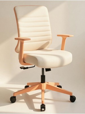 AyrStore Zeon Büro Ofis Sistemleri // Comfort Pastel Plus Ofis Koltuğu Yönetici Koltuğu Çalışma Koltu�