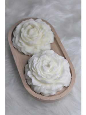 Bottiko Bottiko Beton Kokulu DEKOR%100 Soya Wax Şakayık Mum Seti Renkli