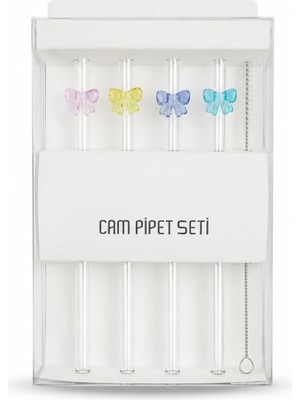 Cam Pipet Seti, 4'lü, 19 Cm, 4 Farklı Renk Fiyonk Detaylı, Temizleme Fırçalı, Kutulu, Bpa Iç