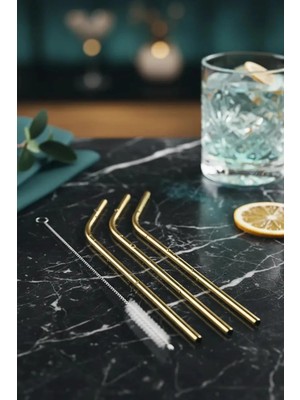 Kazan Hobi Miniso Lisanslı 3'lü Metal Pipet Seti – 304 Paslanmaz Çelik – Temizleme Fırçalı