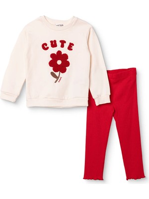 Hellobaby Kız Bebek Sweatshirt-Tayt Çiçek Baskılı Bisiklet Yaka Uzun Kol Reçme