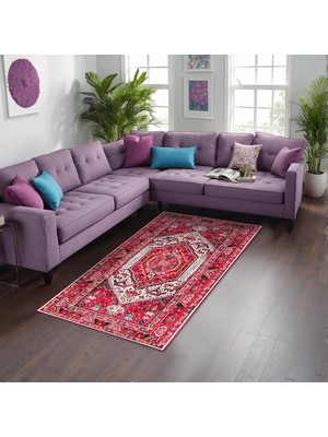 Kazan Hobi Zaren Kadife Kaymaz Pamuk Tabanlı Yıkanabilir Antibakteriyel Salon Halısı 200X300