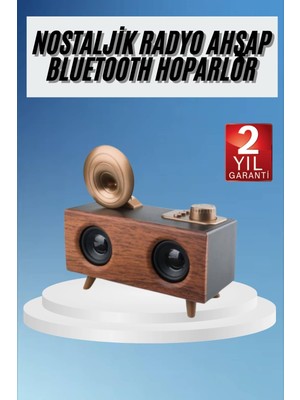 Renas Store Gramafon Radyo Bluetooth Hoparlör Nostaljik Radyo Fm Radyo - Lisinya