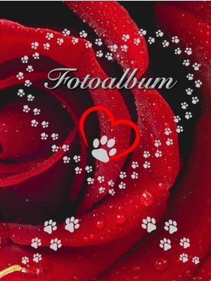 Kazan Hobi Fotoalbum Für Hunde Katzen Haustiere Geschenkidee Hundeliebhaber Katzenliebhaber Züchterbuch Hundeverein Katzenverein Photo Album Foto Tagebuch Welpen ... Tierschutz Fellnasen Rose 03 (German Edition)