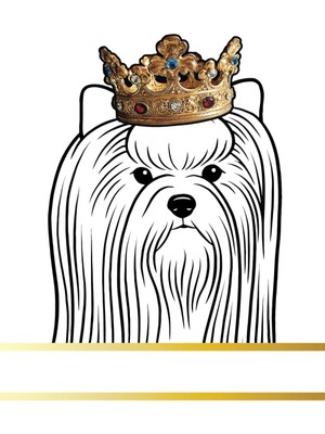 Kazan Hobi Independently Published Biewer Terrier Dog Record And Memory Book: Dog Photo Album Pet Milestones Keepsake Book