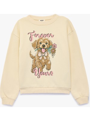 Koton Bisiklet Yaka Uzun Kollu Şardonlu Köpek Baskılı Sweatshirt