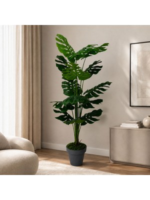 Dekorsende Yapay Deve Tabanı (Monstera) Ağaç 175 cm