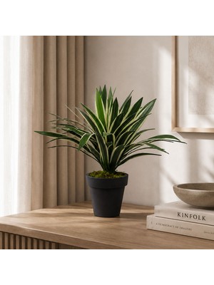 Dekorsende Yapay Agave Ağaç Alacalı Yeşil 55 cm