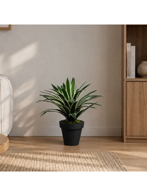 Dekorsende Yapay Agave Ağaç Alacalı Yeşil 45 cm