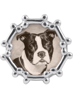 Köpek Kemik Yuvarlak Çerçeve Gümüş 4 x 6