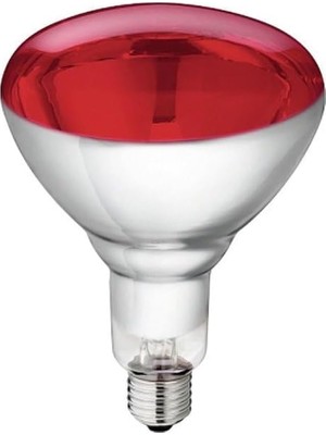 Philips IR150RH BR125 230 - 250 V E2 Tarım. Gıda Maddeleri