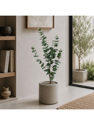 Dekorsende Yapay Okaliptüs Dal Gri 90 cm