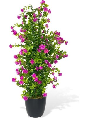Nettenevime Yapay Çiçek Siyah Saksıda Lila Mineli Şimşir Ağacı 55CM