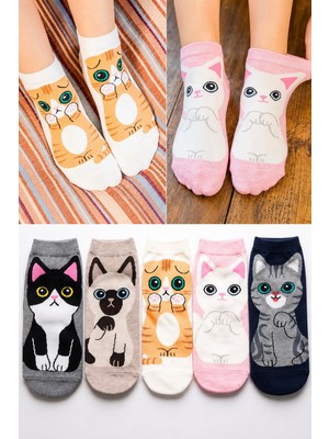 Worthy Socks 5'li Kedi Desenli Yüksek Kaliteli Renkli Patik Bilek Çorap